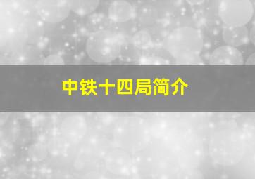 中铁十四局简介