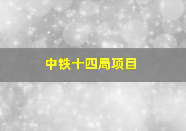 中铁十四局项目