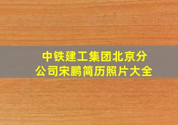 中铁建工集团北京分公司宋鹏简历照片大全