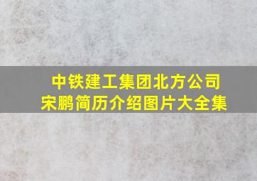 中铁建工集团北方公司宋鹏简历介绍图片大全集