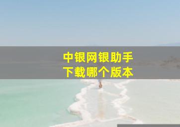 中银网银助手下载哪个版本