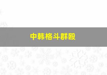 中韩格斗群殴