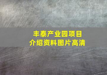 丰泰产业园项目介绍资料图片高清