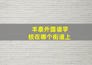 丰泰外国语学校在哪个街道上