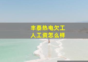 丰泰热电欠工人工资怎么样