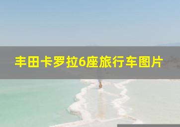 丰田卡罗拉6座旅行车图片