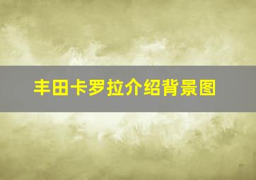 丰田卡罗拉介绍背景图