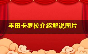 丰田卡罗拉介绍解说图片