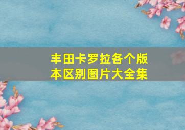 丰田卡罗拉各个版本区别图片大全集