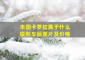 丰田卡罗拉属于什么级别车标图片及价格