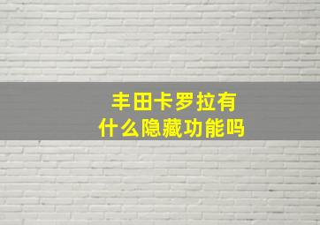 丰田卡罗拉有什么隐藏功能吗