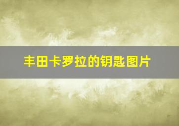 丰田卡罗拉的钥匙图片