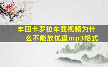 丰田卡罗拉车载视频为什么不能放优盘mp3格式