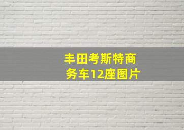 丰田考斯特商务车12座图片