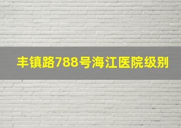 丰镇路788号海江医院级别