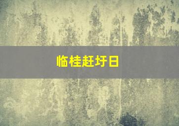 临桂赶圩日