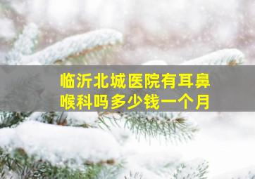 临沂北城医院有耳鼻喉科吗多少钱一个月