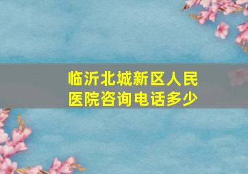 临沂北城新区人民医院咨询电话多少