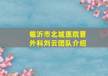 临沂市北城医院普外科刘云团队介绍