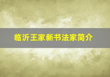 临沂王家新书法家简介