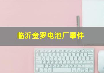 临沂金罗电池厂事件