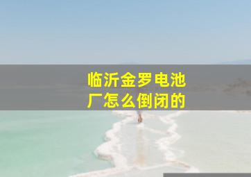 临沂金罗电池厂怎么倒闭的