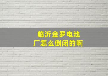 临沂金罗电池厂怎么倒闭的啊