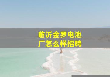 临沂金罗电池厂怎么样招聘