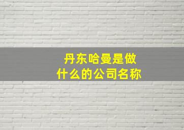 丹东哈曼是做什么的公司名称