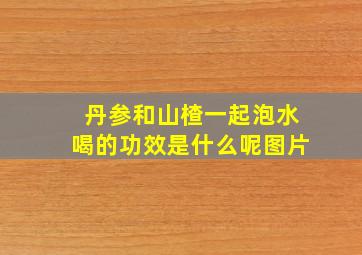 丹参和山楂一起泡水喝的功效是什么呢图片