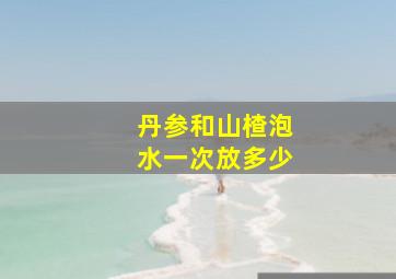 丹参和山楂泡水一次放多少