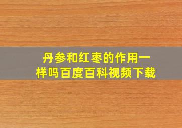 丹参和红枣的作用一样吗百度百科视频下载