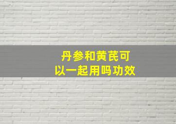 丹参和黄芪可以一起用吗功效