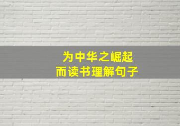 为中华之崛起而读书理解句子