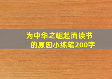 为中华之崛起而读书的原因小练笔200字