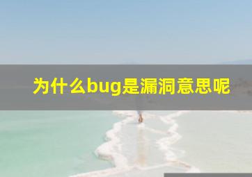 为什么bug是漏洞意思呢