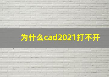 为什么cad2021打不开