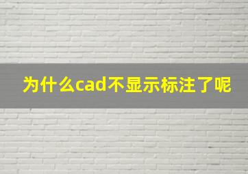 为什么cad不显示标注了呢