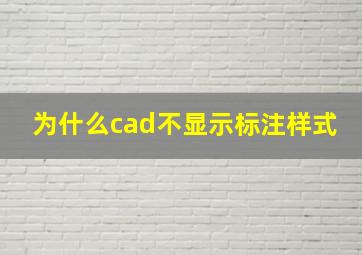 为什么cad不显示标注样式