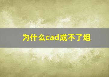 为什么cad成不了组