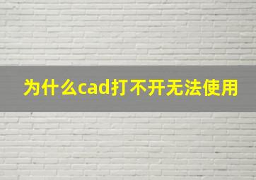 为什么cad打不开无法使用