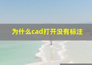 为什么cad打开没有标注