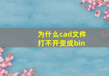 为什么cad文件打不开变成bin