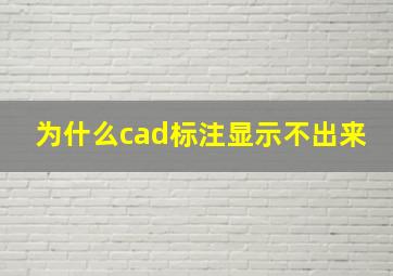 为什么cad标注显示不出来