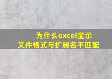 为什么excel显示文件格式与扩展名不匹配