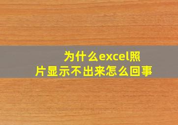 为什么excel照片显示不出来怎么回事