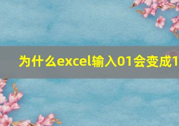 为什么excel输入01会变成1