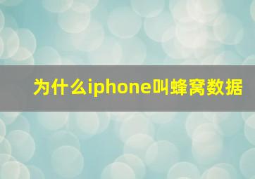 为什么iphone叫蜂窝数据