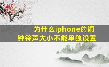 为什么iphone的闹钟铃声大小不能单独设置