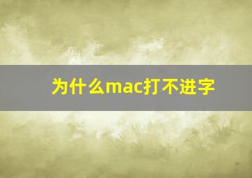 为什么mac打不进字